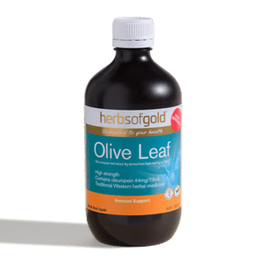 Herbs of Gold Olive Leaf Liquid 500ml