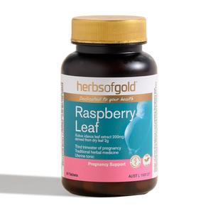 Herbs of Gold Raspberry Leaf 60t