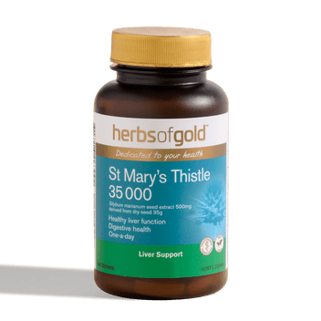 Herbs of Gold St Mary's Thistle 35 000 60t