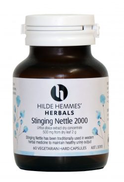 Hilde Hemmes Stinging Nettle 60 Tablets